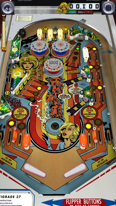 The Pinball Arcade (screenshot)