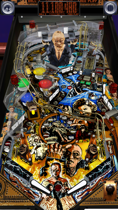 The Pinball Arcade (screenshot)
