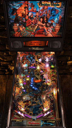 Visual Pinball X (VPX) (poster)